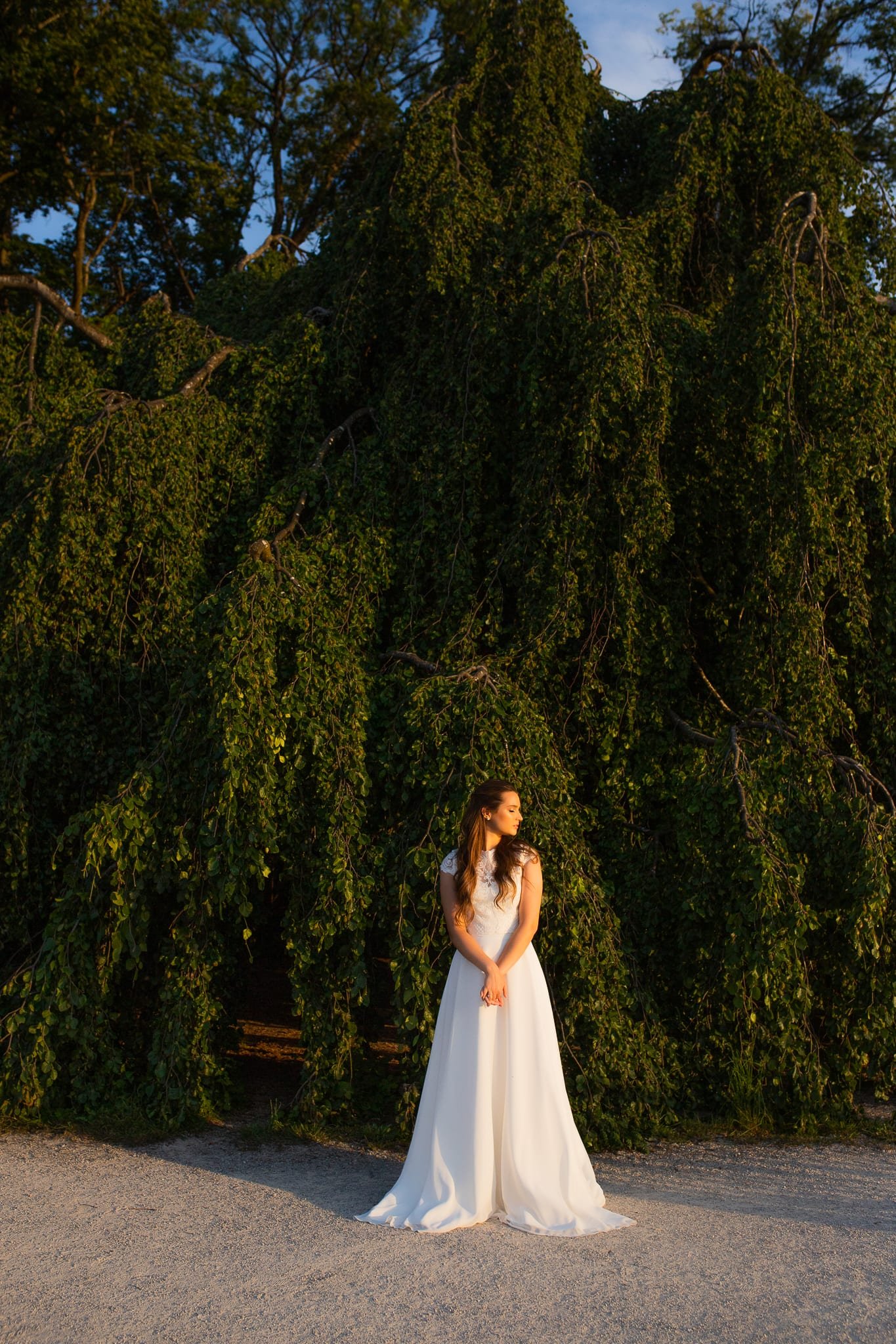 Bride in a flowing gown in front of a weeping willow in evening light